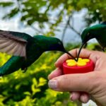 wany world tours bird sanctuary